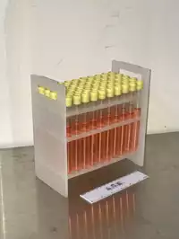 Image of 5x10 Tall Plastic Test Tube Rack