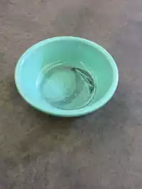 Image of Green Plastic Bowl