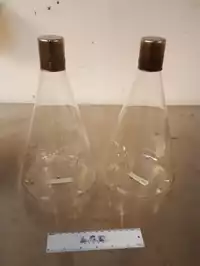 Image of 2000ml Erlenmeyer Flask With Ss Top
