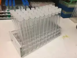 Image of Test Tube Rack With Clear Caps