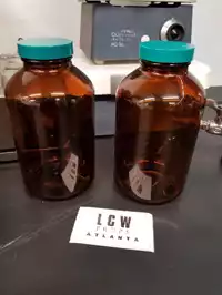 Image of Xl Brown Lab Bottle