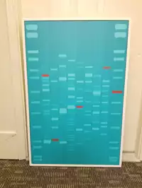 Image of Aqua Framed Genome Wall Art