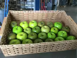 Image of Faux Green Apples