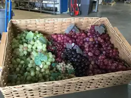 Image of Faux Plastic Grapes