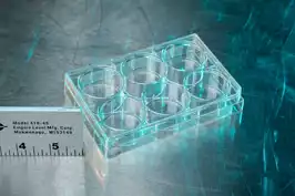 Image of Petri Dish (X6 In Box)