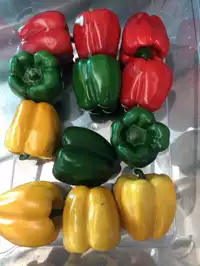 Image of Fake Assorted Bell Peppers