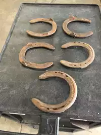 Image of Rusty Horse Shoes