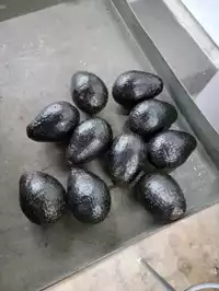 Image of Lot Of 10 Avocados