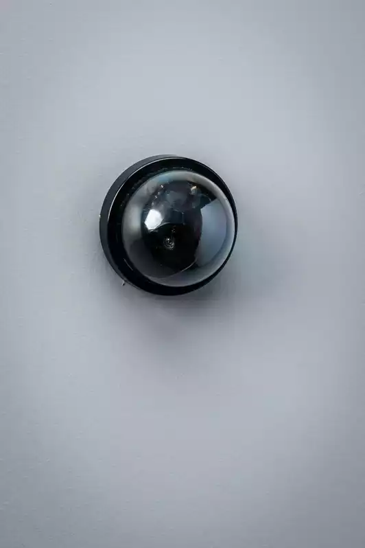 Image of Black Working Dome Security Camera