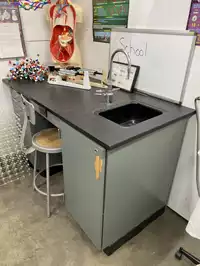 Image of 5' Lab Station With Sink