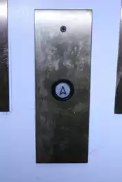 Image of Brass One Button Elevator Panel (Rigged)