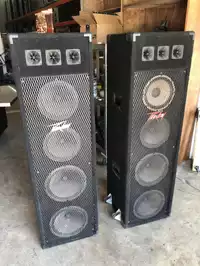 Image of Pair Of Large Peavy Speakers