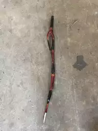 Image of Multi Colored Walking Stick