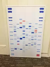 Image of White Framed Genome Wall Art