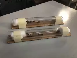 Image of Insect Test Tube