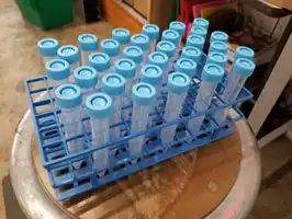 Image of 6x12 Blue Plastic Test Tube Rack