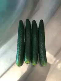 Image of 4 Fake Large Cucumbers