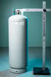 Image of 100lb Propane Cylinder