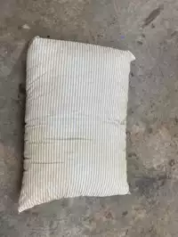 Image of Prison Pillow
