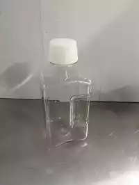 Image of 2000ml Bottle With White Top