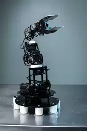 Image of Cyton Robai Robotic Arm
