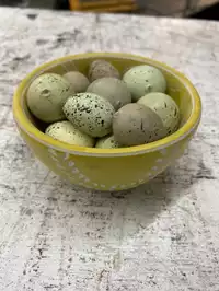 Image of Decorative Bowl W/ Eggs
