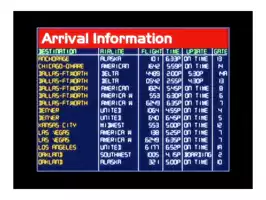 Image of Airport Arrival Information