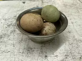 Image of Decorative Silver Bowl W/ Eggs