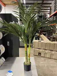 Image of Faux Office Plant