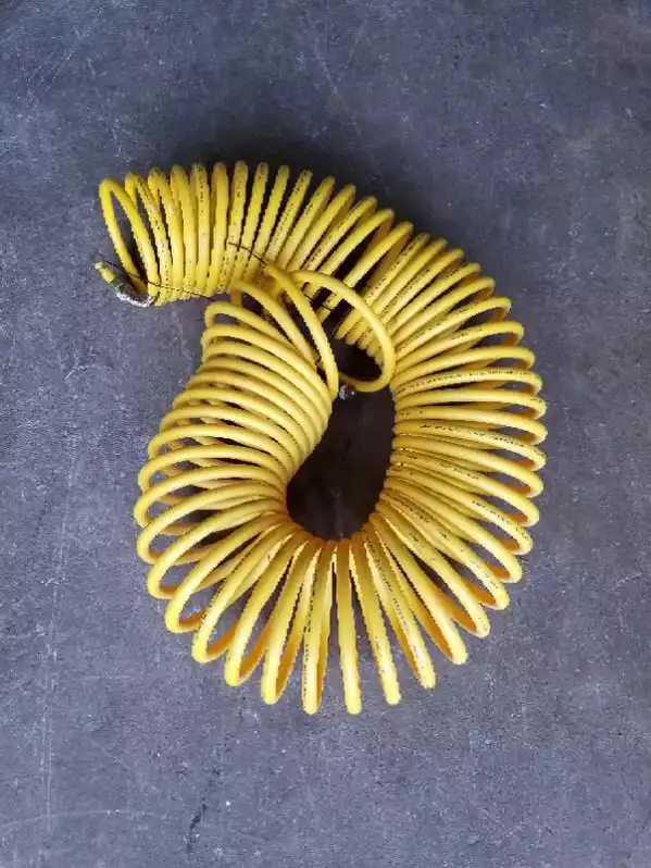 Image of Large Coiled Air Compressor Hose