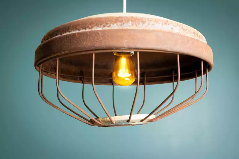 Image of Hanging Caged Barn Light