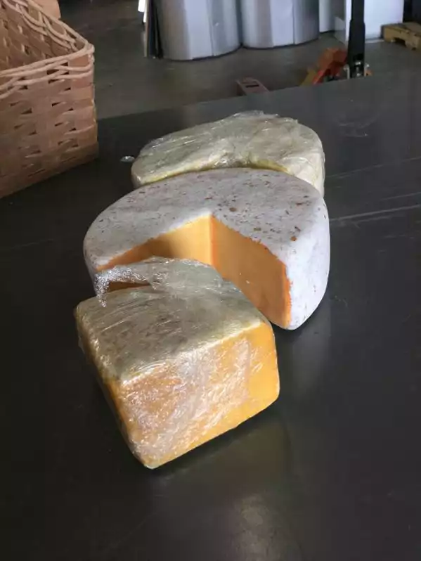 Image of Wheel Of Faux Cheese