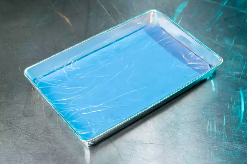 Image of Ss Lab Dissection Tray W/ Flex Pad
