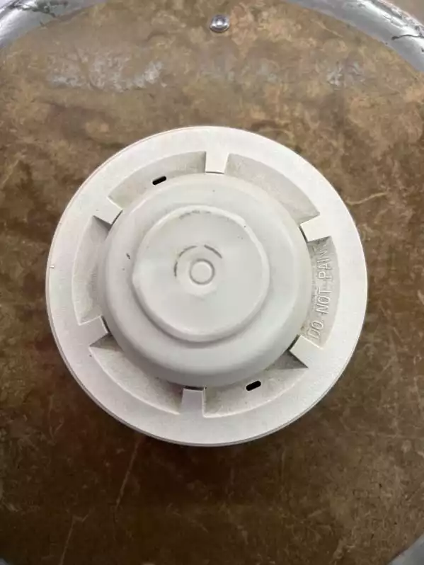 Image of Honey Dew Fire Alarm